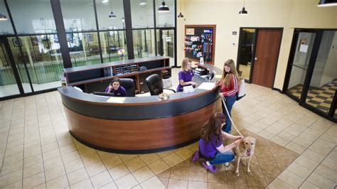 Dog daycare indianapolis. Things To Know About Dog daycare indianapolis. 